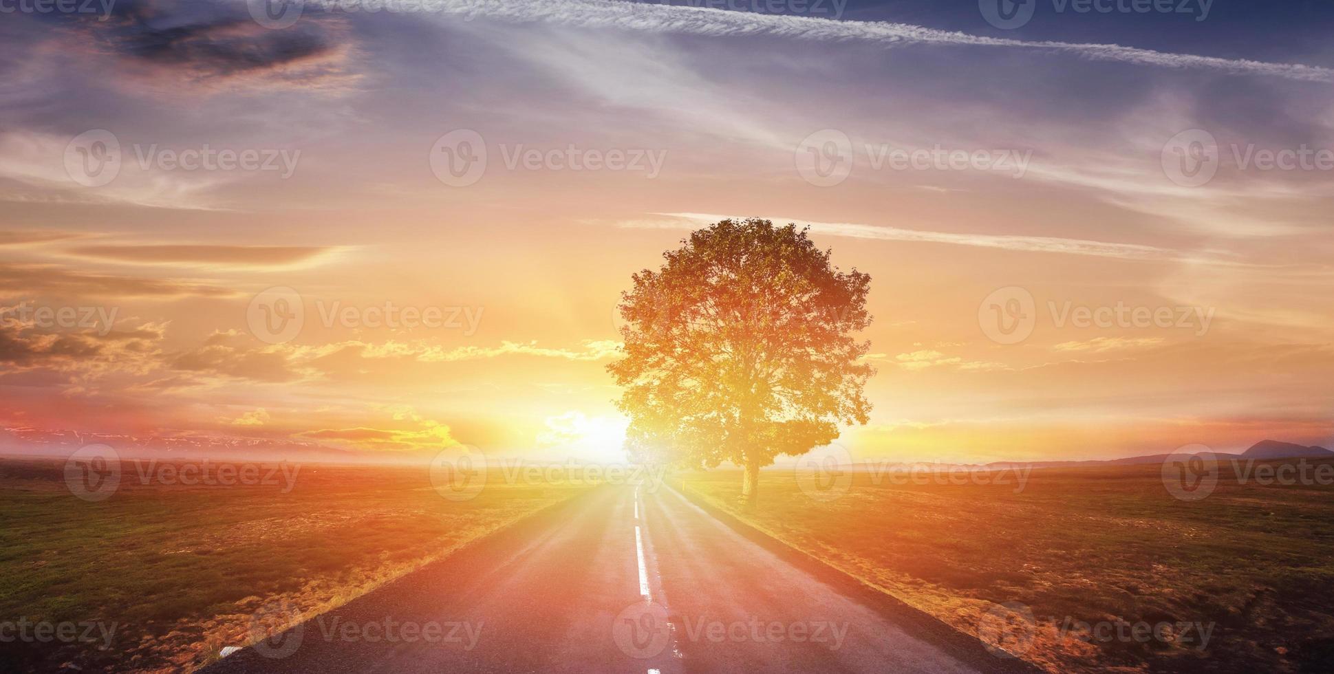 fantastische landschapsasfaltweg en eenzame boom bij zonsondergang. een be foto