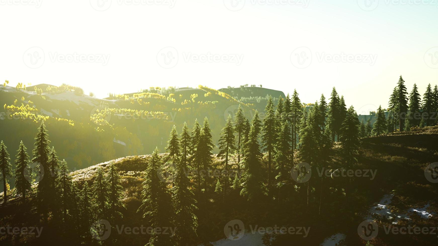 prachtig bos van bomen in de Alpen met wildvuurrook bij zonsondergang foto