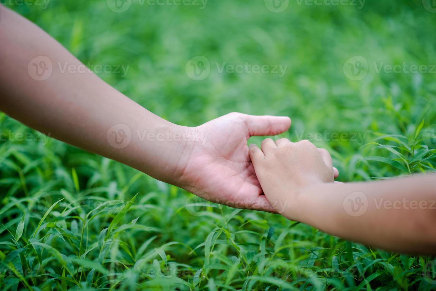 handen en natuur liefde heldere liefde moeten elkaar liefde en schoonheid geven op een natuurlijke manier. foto