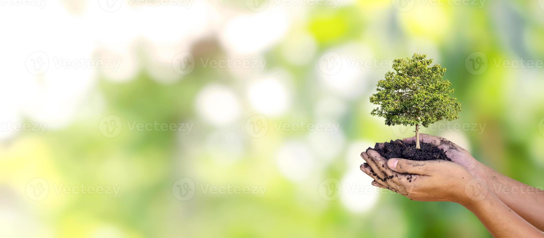 bomen worden in menselijke handen op de grond geplant met natuurlijke groene achtergronden, het concept van plantengroei en milieubescherming. foto