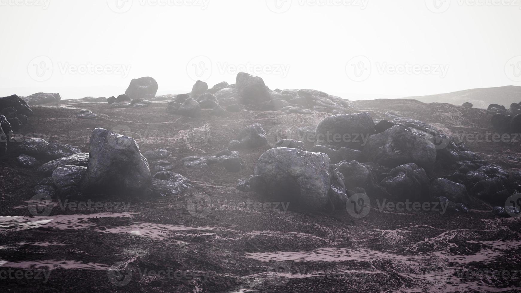 berglandschap bedekt met sneeuw en ijs foto