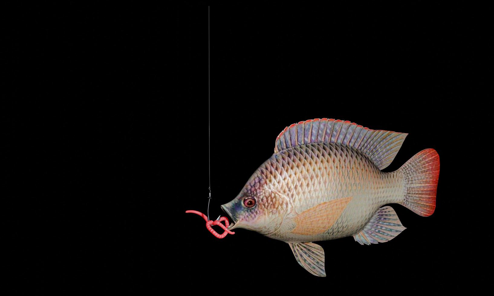 aan een hengel zitten regenwormen. voor lokvissen. vissen met een haak. de tilapia staat op het punt de regenworm op te eten die aan de haak zit. 3D-rendering foto