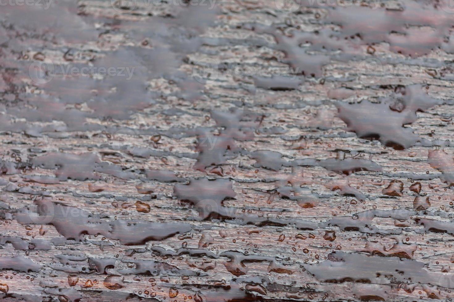 waterdruppel op houten vloer tijdens regen, abstracte achtergrond foto