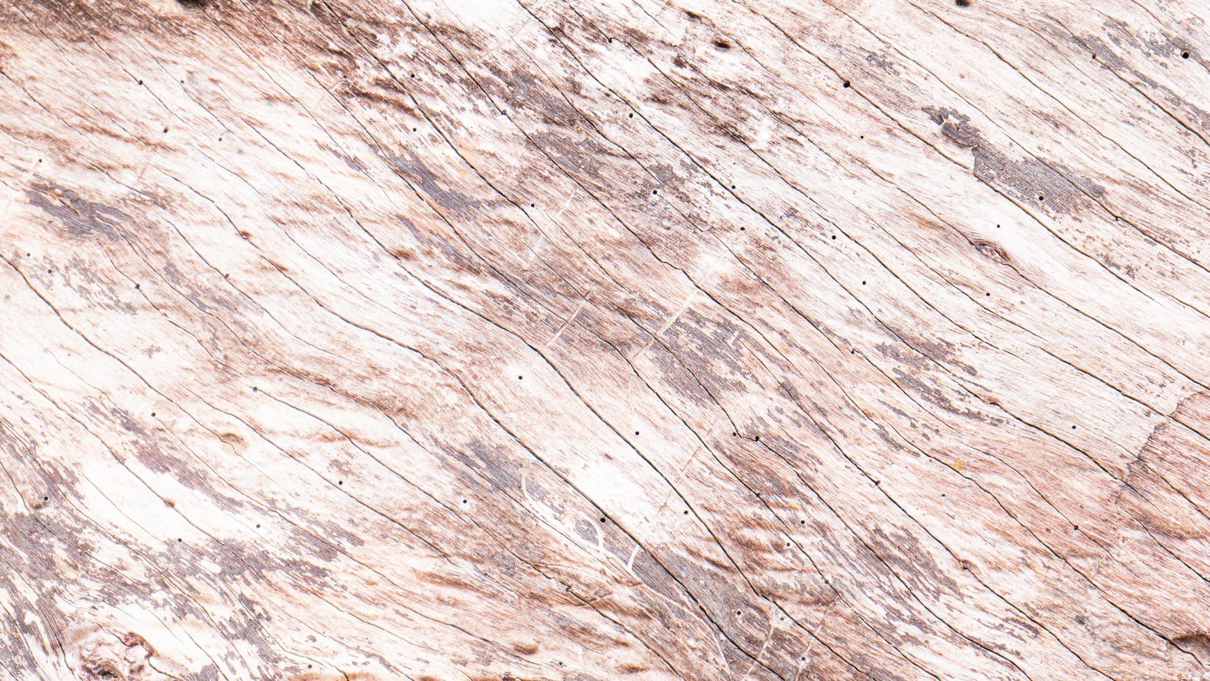 schors van een grote boomstam. houtnerfpatroon voor gebruik bij het maken van behang of achtergrond foto
