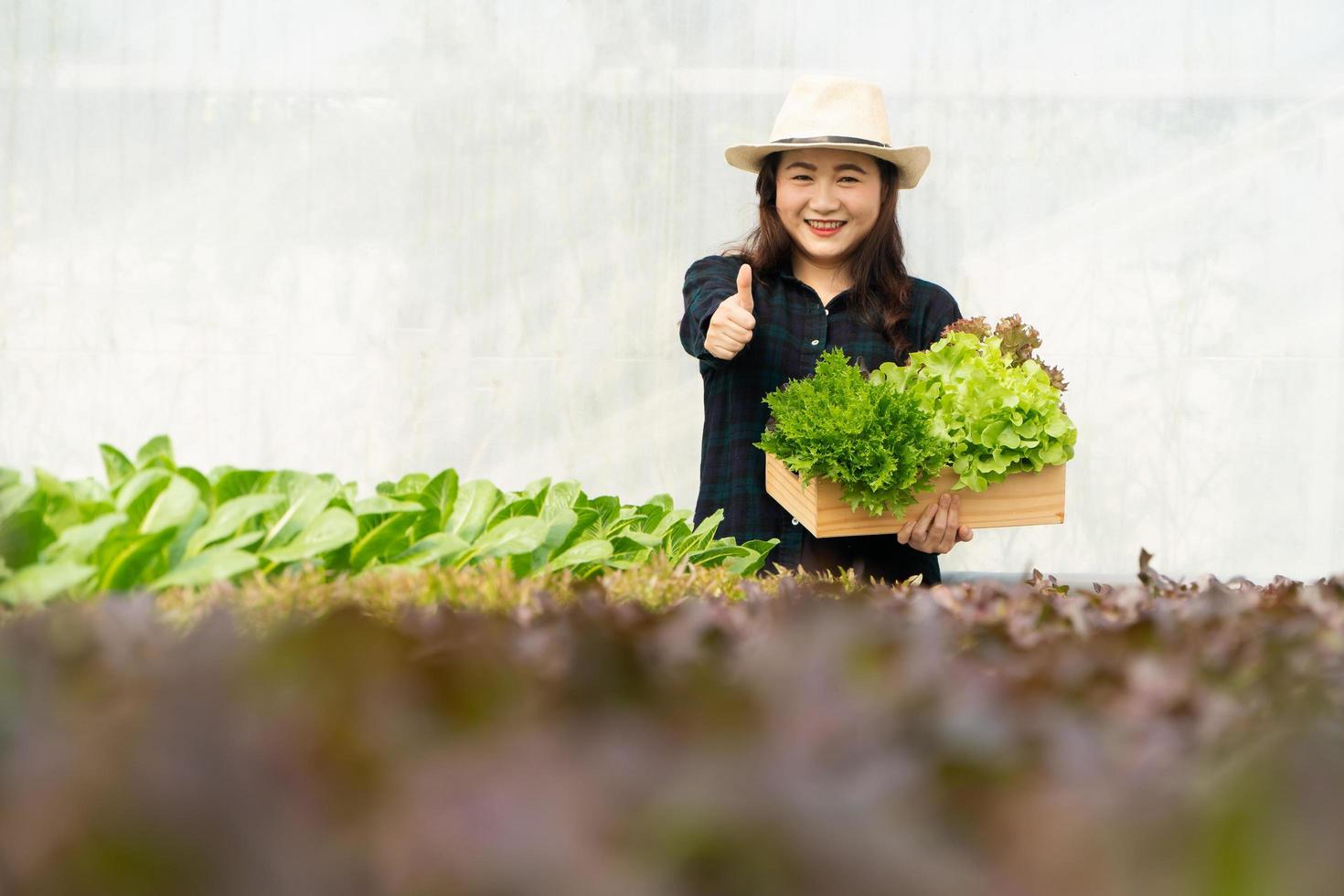 aziatische vrouw boeren oogsten verse salade groenten in hydrocultuur plant systeem boerderijen in de kas naar de markt. concept van verse groenten en gezonde voeding. bedrijfsleven en agrarische sector. foto