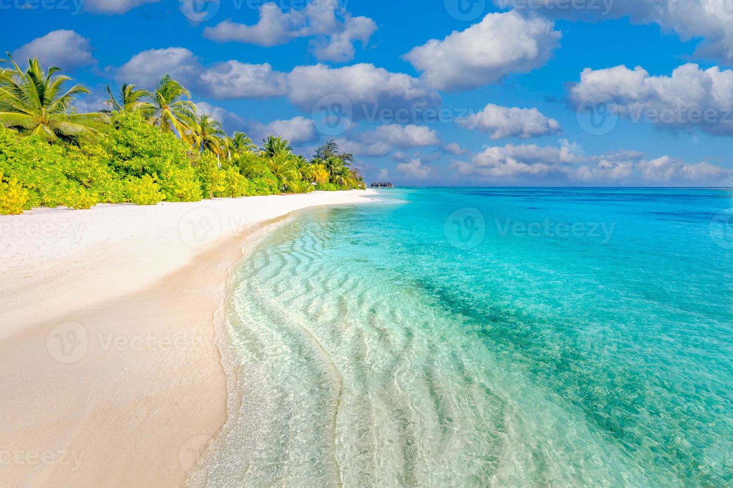 mooie tropische strandbanner. wit zand en kokospalmen, reizen toerisme breed panorama achtergrond concept. geweldig strandlandschap. luxe eiland natuur, avontuurlijke vakantie of vakantie, foto