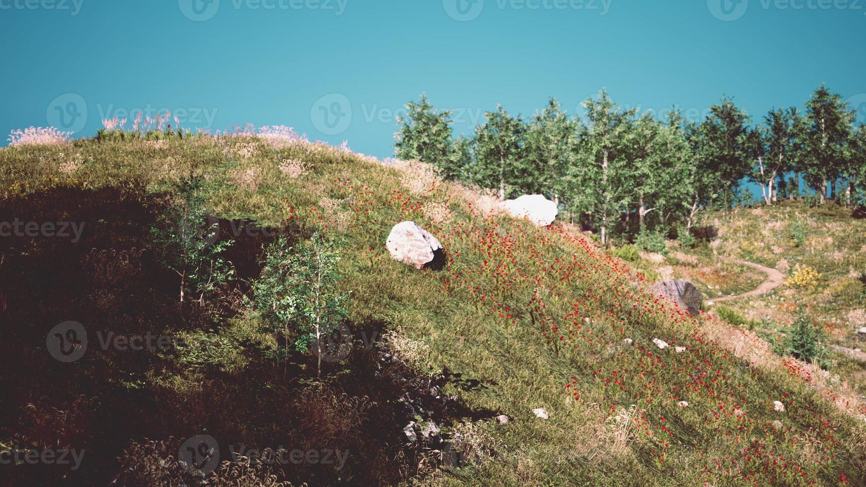 prachtig panoramisch landschap van de bergvallei van de pyreneeën foto