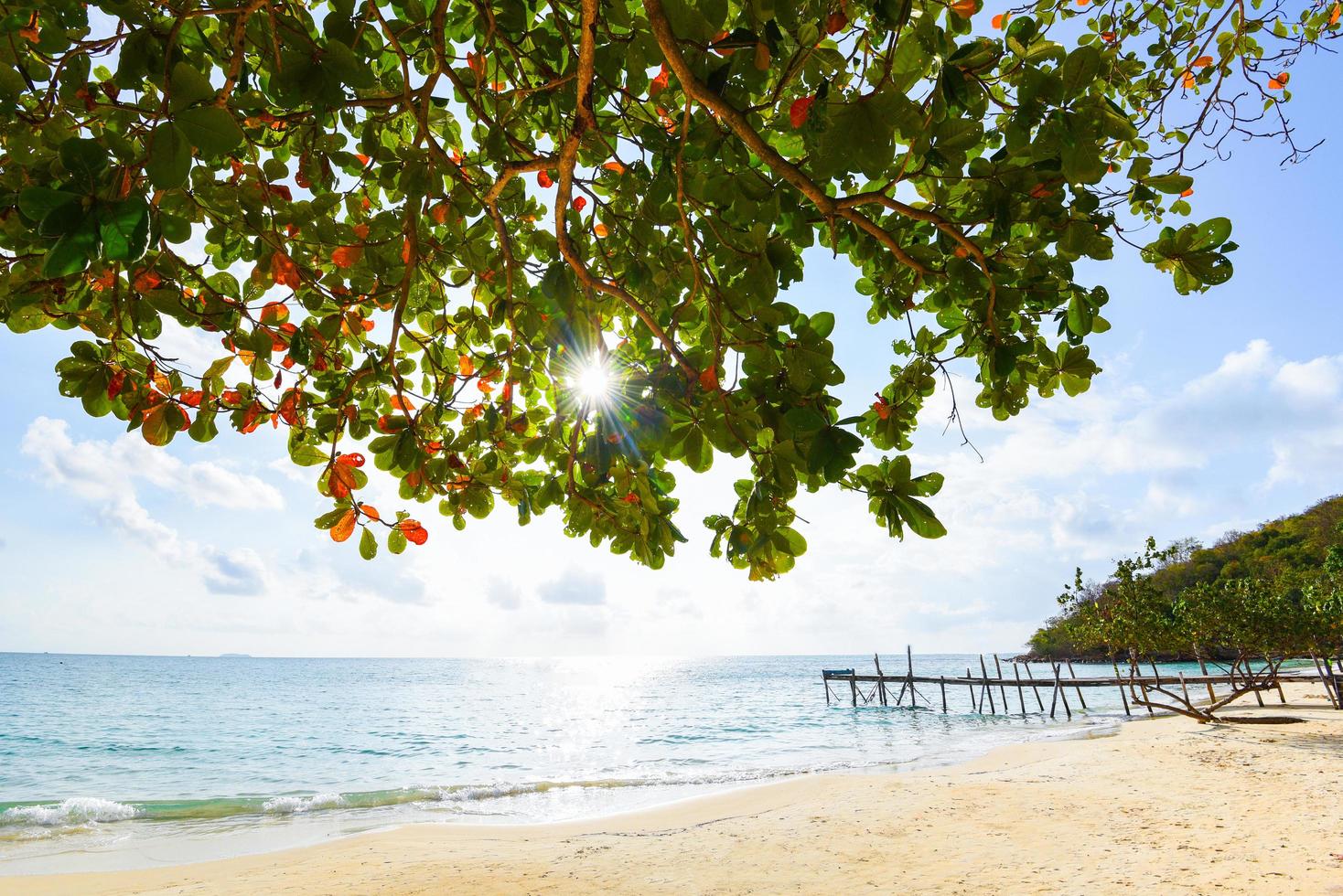 uitzicht op prachtig tropisch landschap met boom en zonlicht op strand zee eiland met oceaan blauwe hemel achtergrond in thailand zomer strandvakantie - zee golven op zandstrand water en kust zeegezicht foto