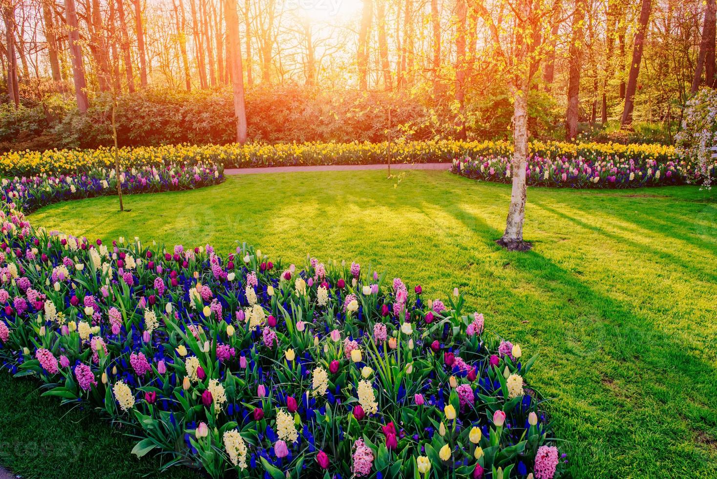 bloembed van lentebloemen in het park foto