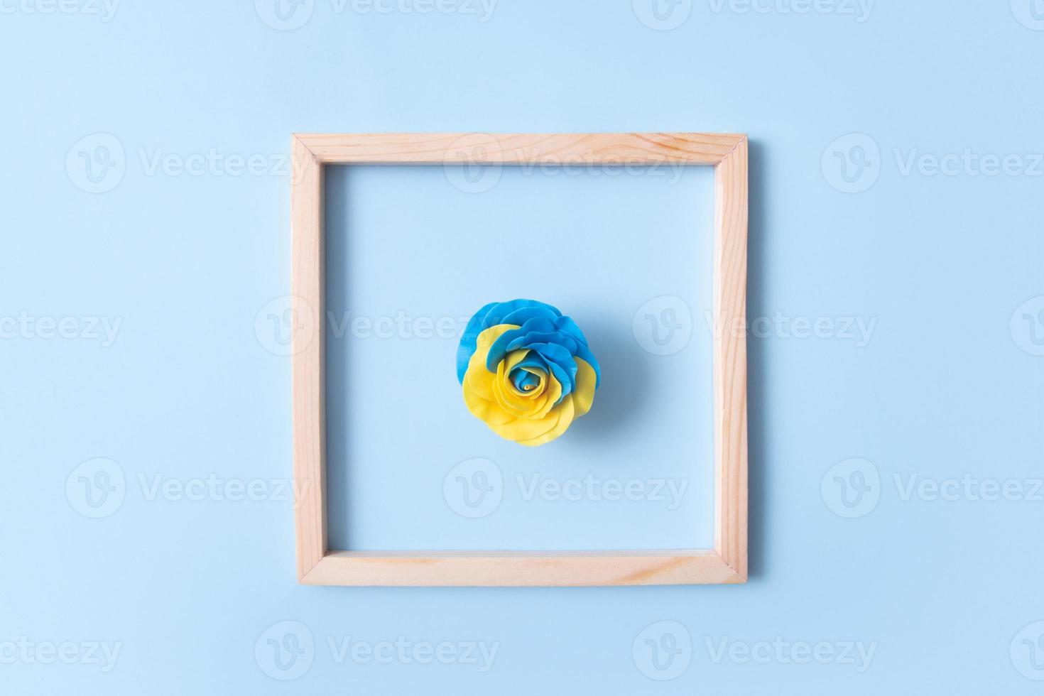roos van de Oekraïense vlag geel-blauwe kleuren in een vierkant houten frame. minimalistisch concept foto