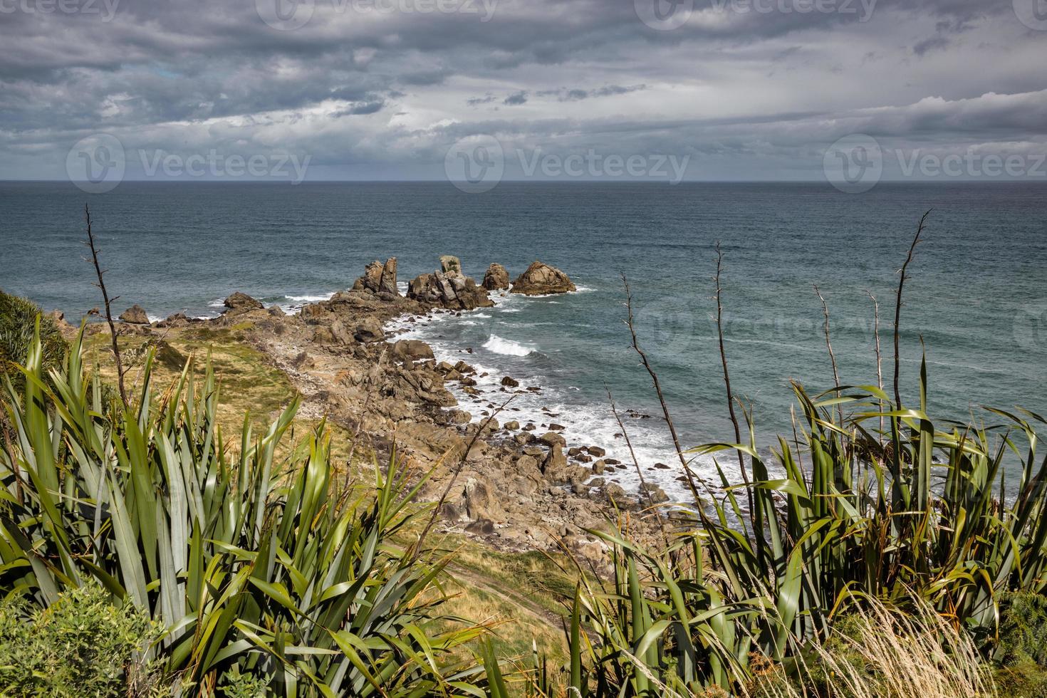 kustlijn bij Cape Foulwind in Nieuw-Zeeland foto