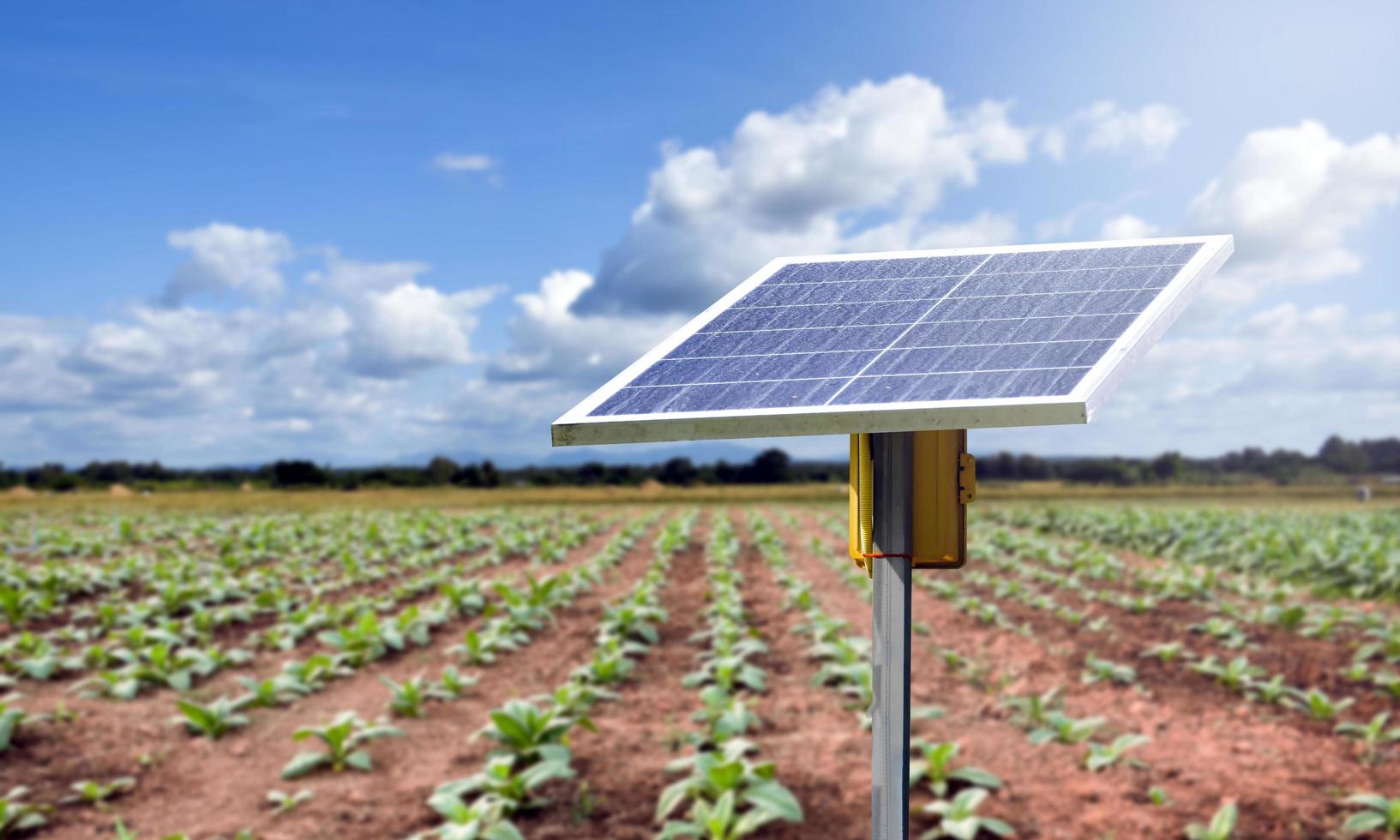 fotovoltaïsch paneel, nieuwe technologie voor het opslaan en gebruiken van de kracht van de natuur met menselijk leven, duurzame energie en milieuvriendelijk concept foto