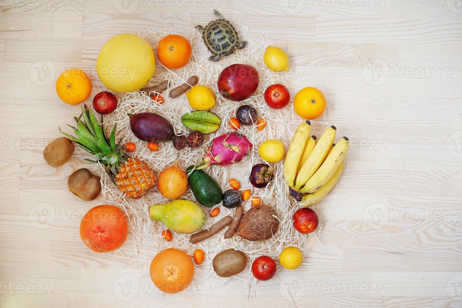 exotisch fruit met kleine landschildpad op houten achtergrond. gezond eten dieet voedsel. foto