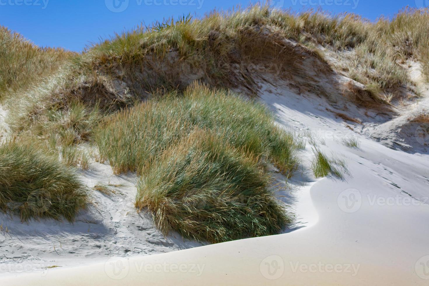 zandduinen bij Sandfly Bay in Nieuw-Zeeland foto