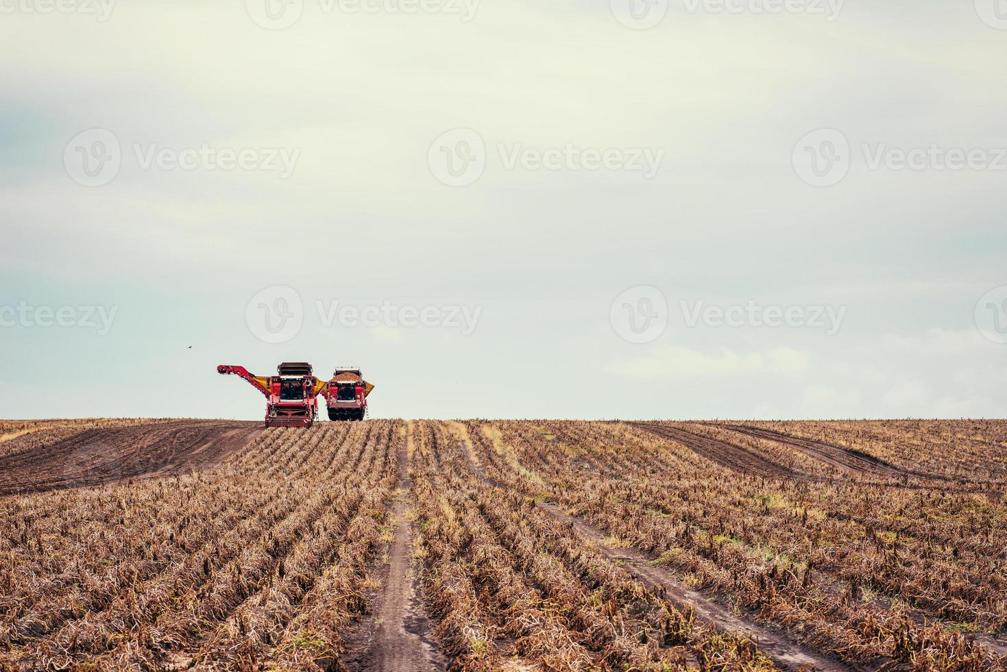 tractoren die in het veld werken foto