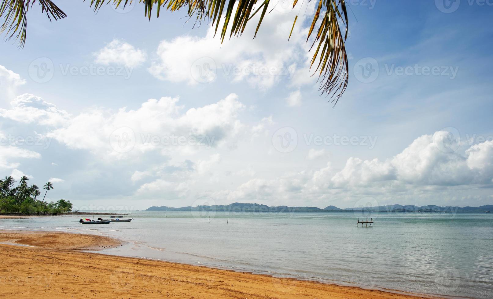 kokospalmen en zee, prachtige natuur foto