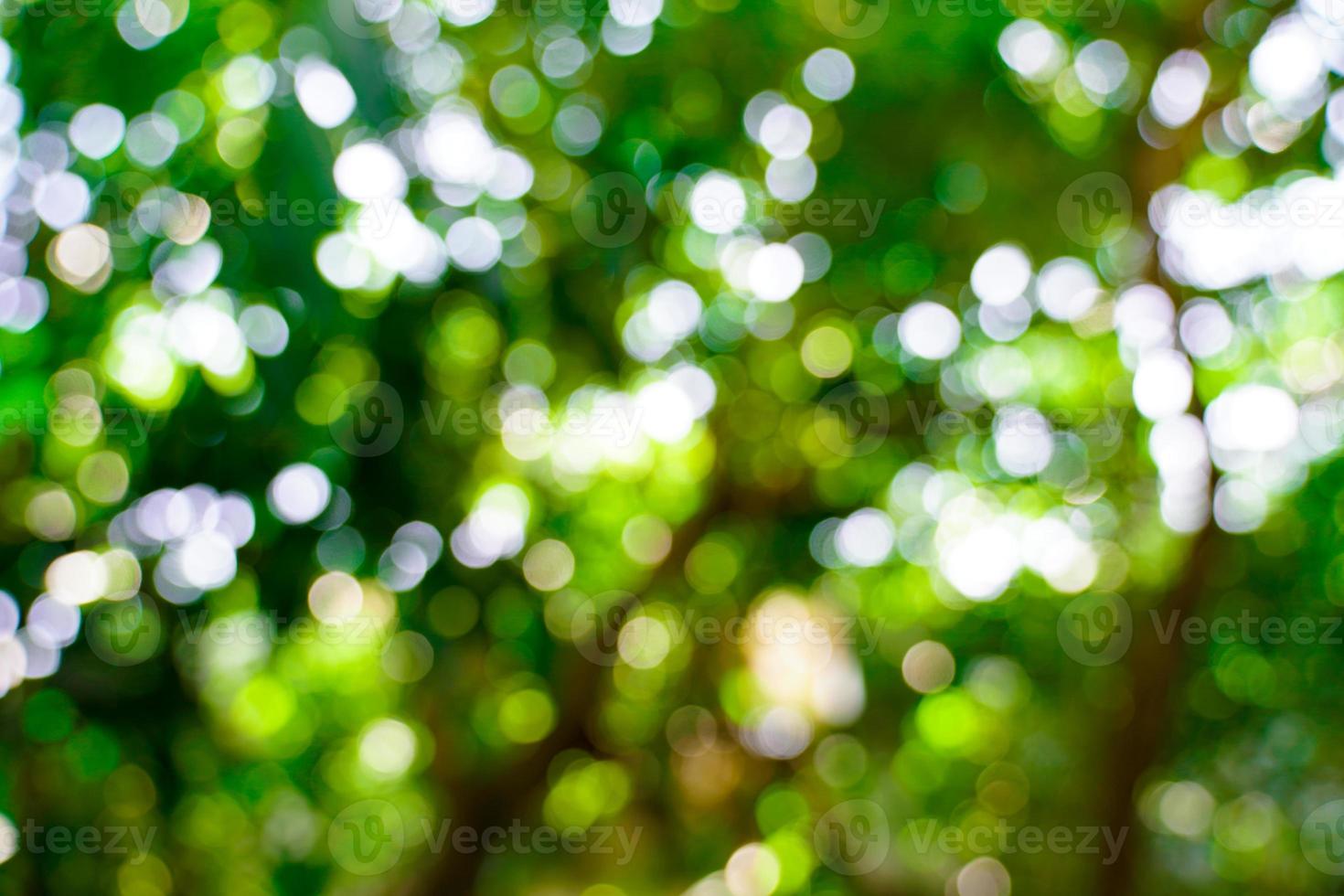 verse natuur groene wazig en bokeh achtergrond. foto