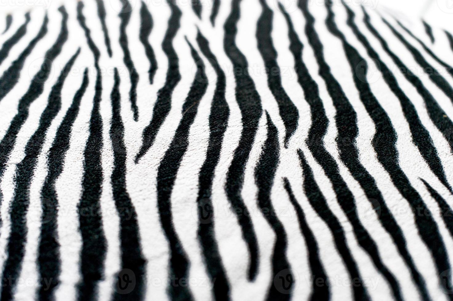 zebra zwart-wit achtergrondafbeelding mooi visueel concept foto