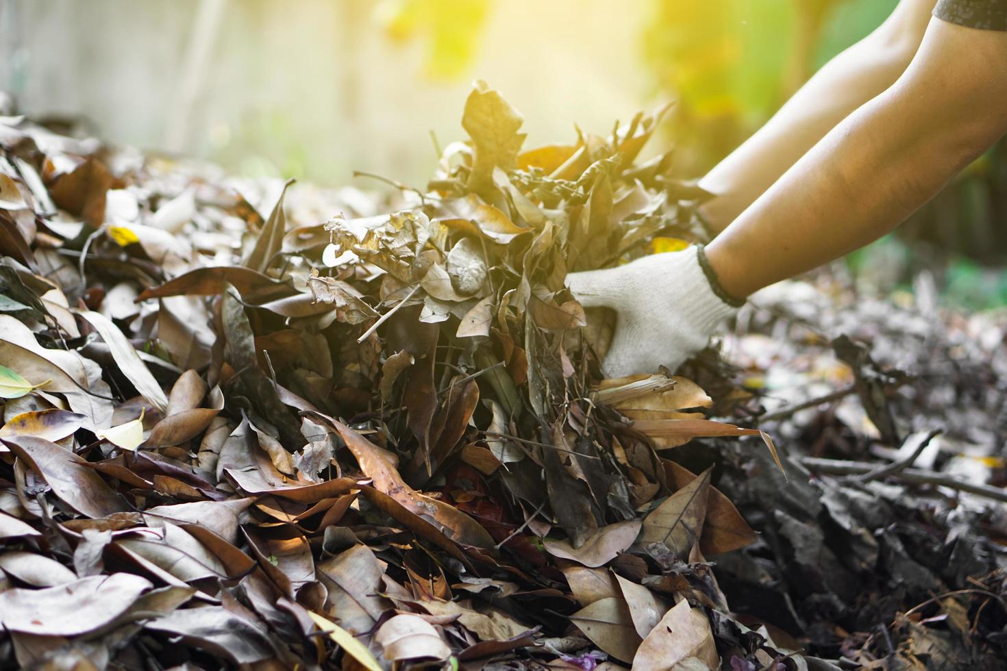 close-up beeld van aziatische man die de compost doet van rotte en droge bladeren die onder de bomen in de achtertuin van zijn huis vielen, zachte en selectieve focus. foto
