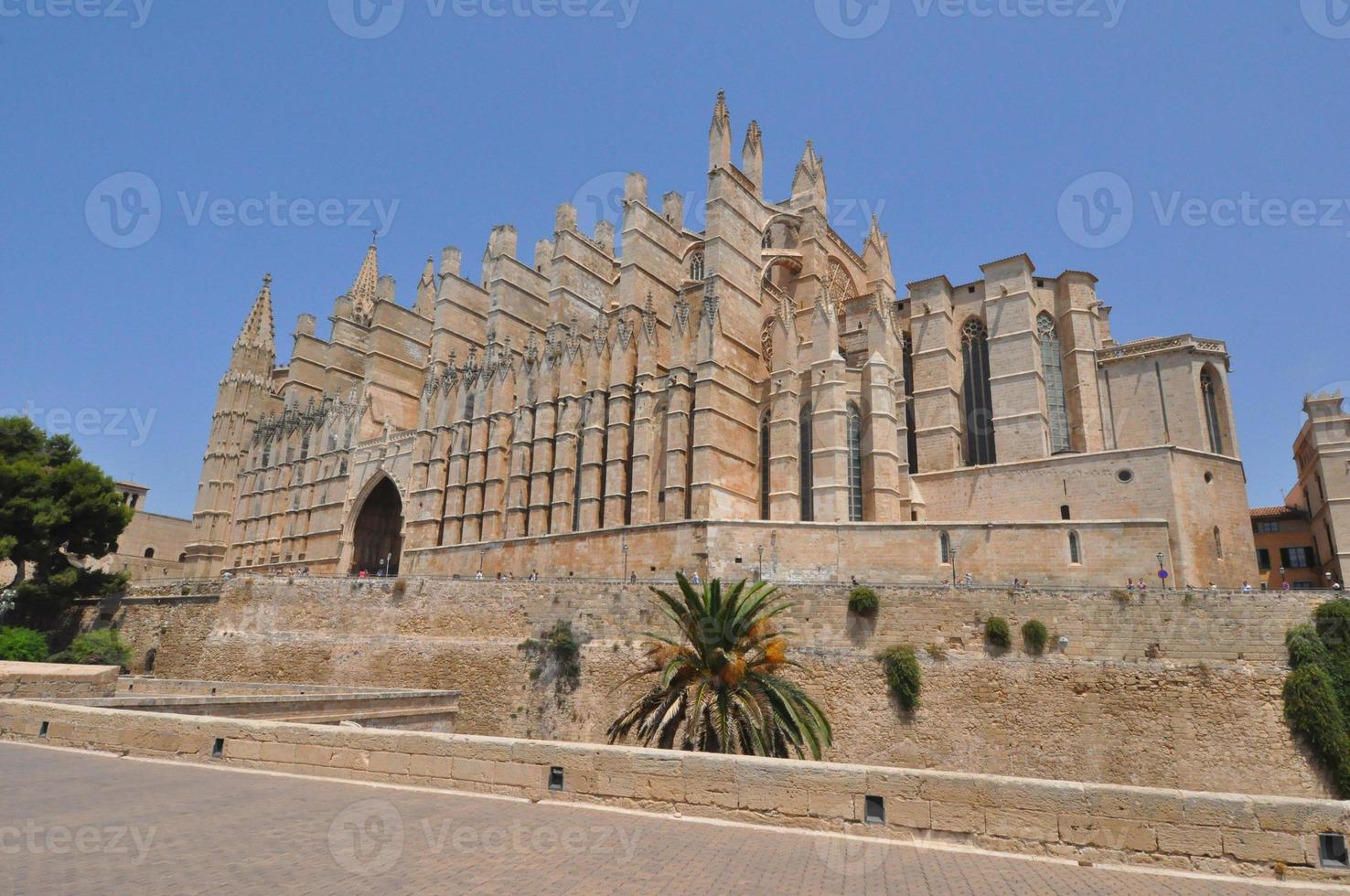 st mary kathedraal in palma de mallorca foto