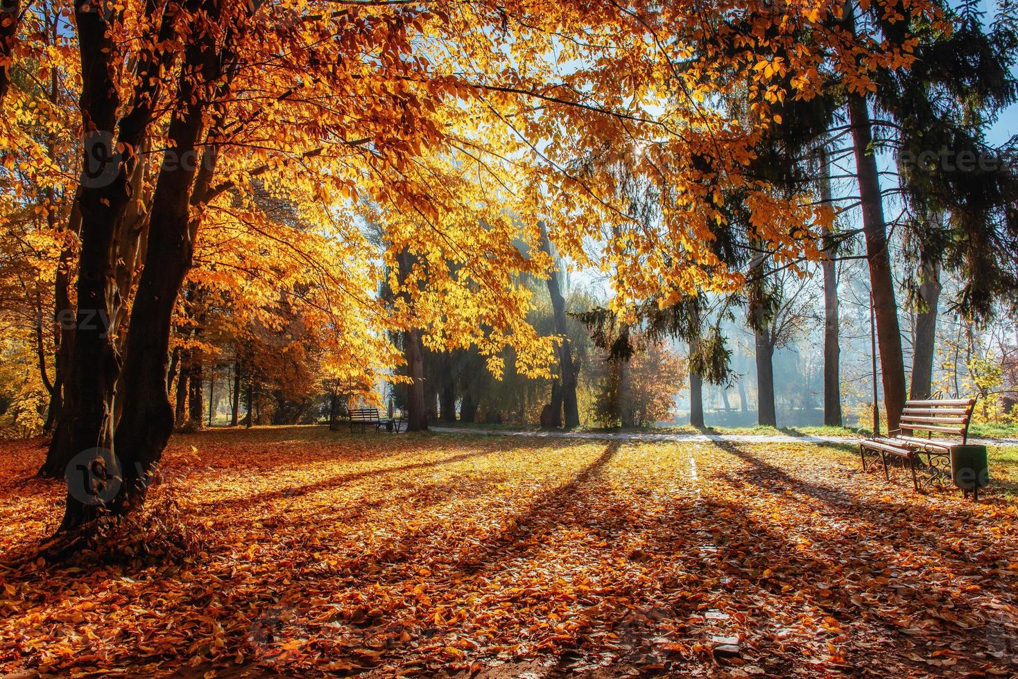 warme rustige dag in het herfstpark foto