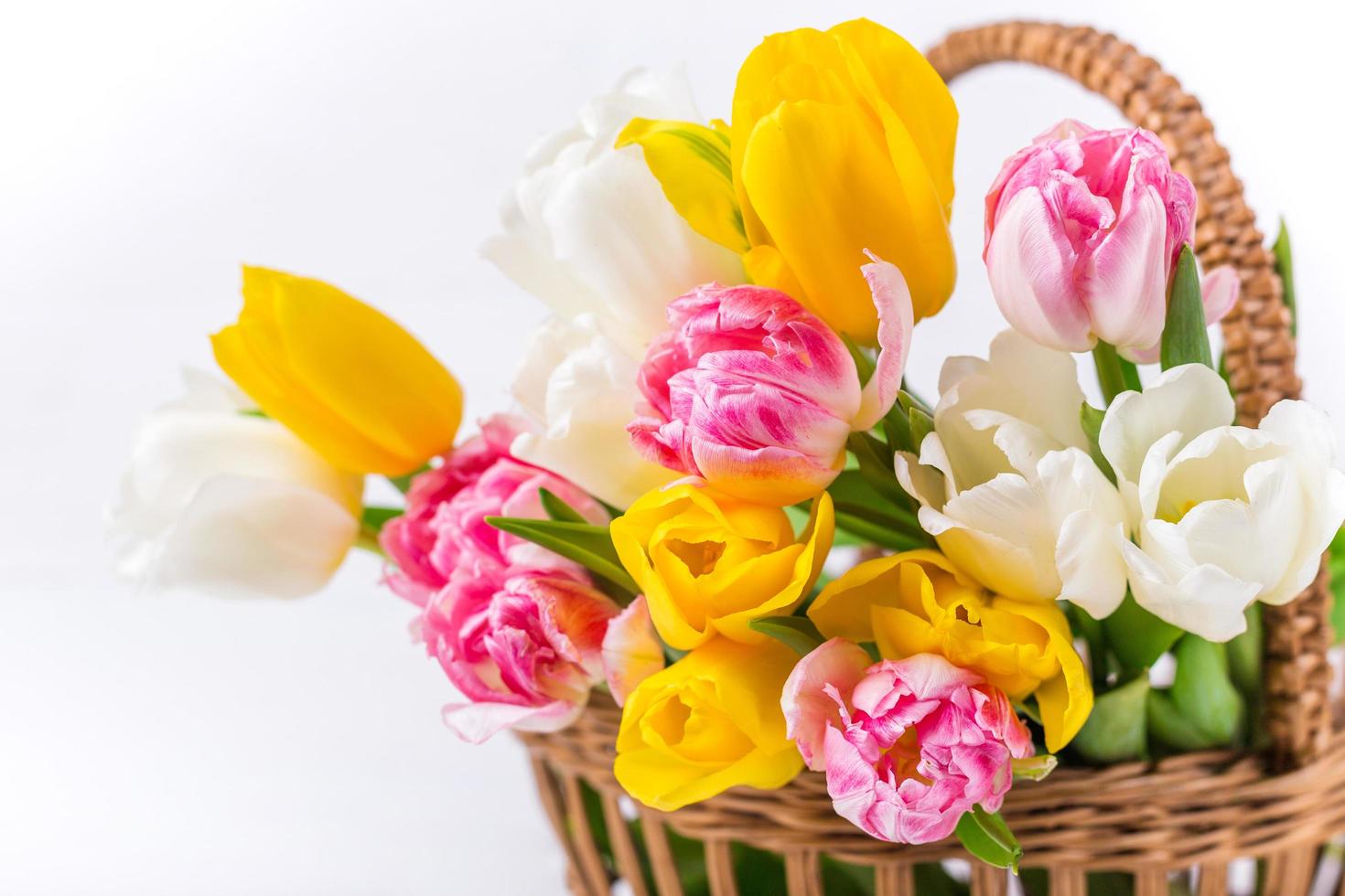 lente veelkleurige tulpen in een rieten mand. feestelijke stemming briefkaart foto