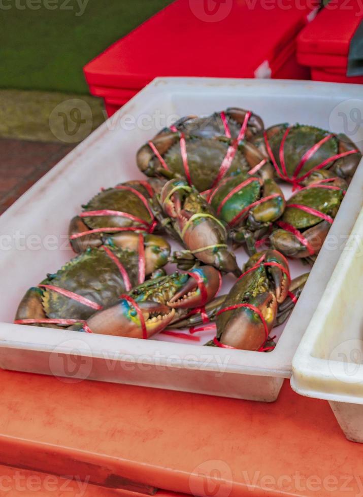 zeevruchten levende krabben schelpdieren schaaldieren thaise markt china stad bangkok. foto