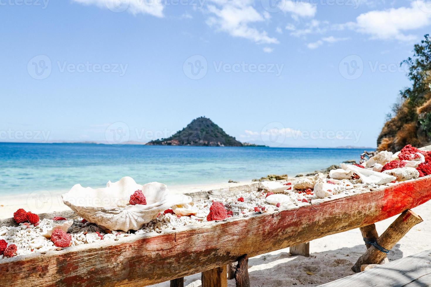 koraalriffen verzameld in lange houten containers op het strand met zeegezicht en berg bij labuan bajo foto