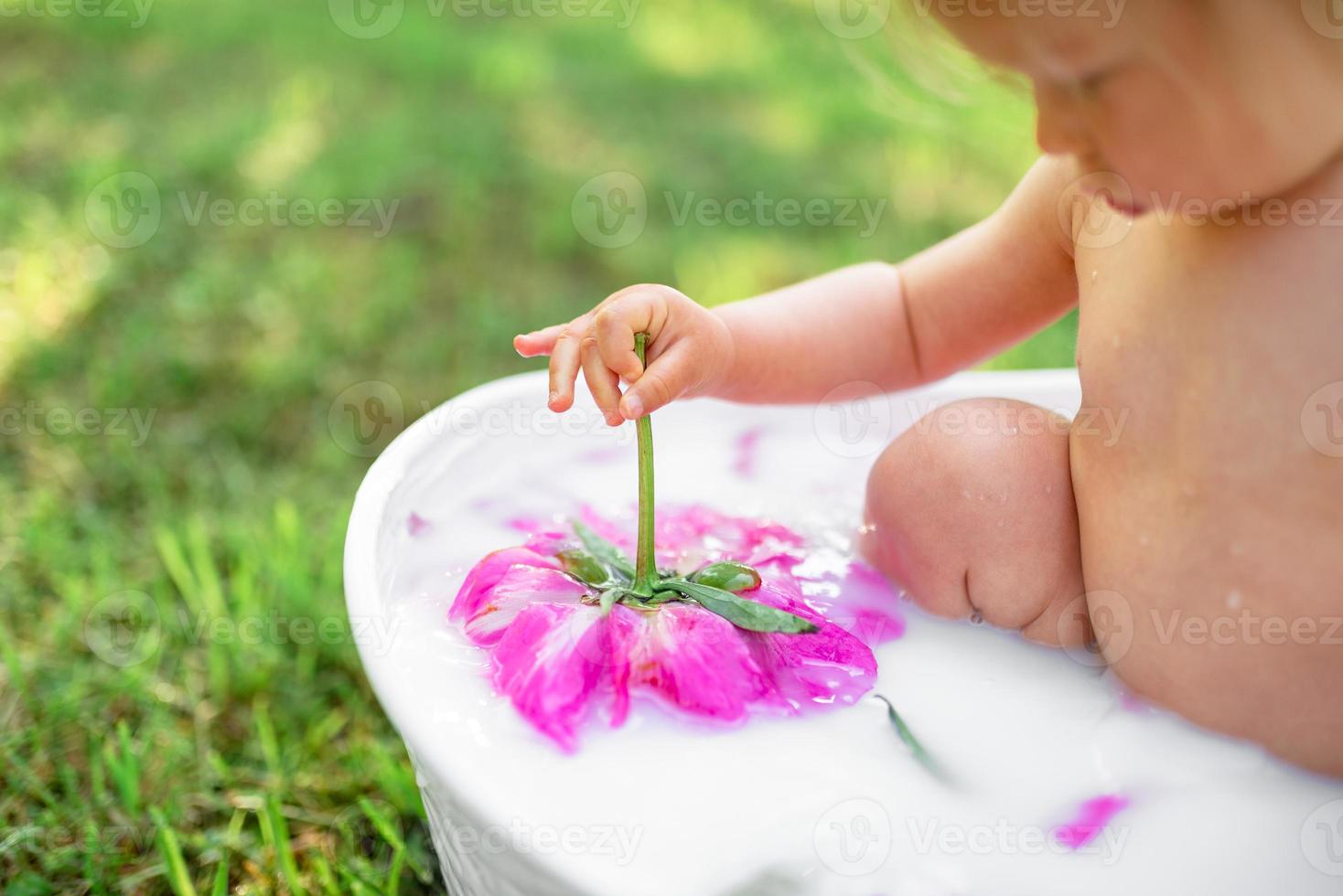 gelukkig peutermeisje neemt een melkbad met bloemblaadjes. klein meisje in een melkbad op een groene achtergrond. boeketten van roze pioenrozen. baby baden. hygiëne en zorg voor jonge kinderen. foto