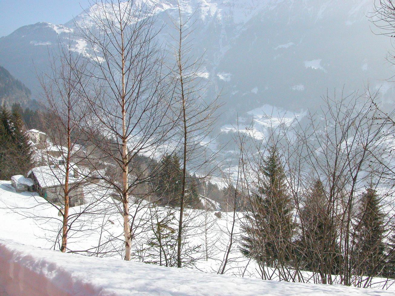 piz bernina bergketen in zwitserse rethische alpen in kanton gr foto