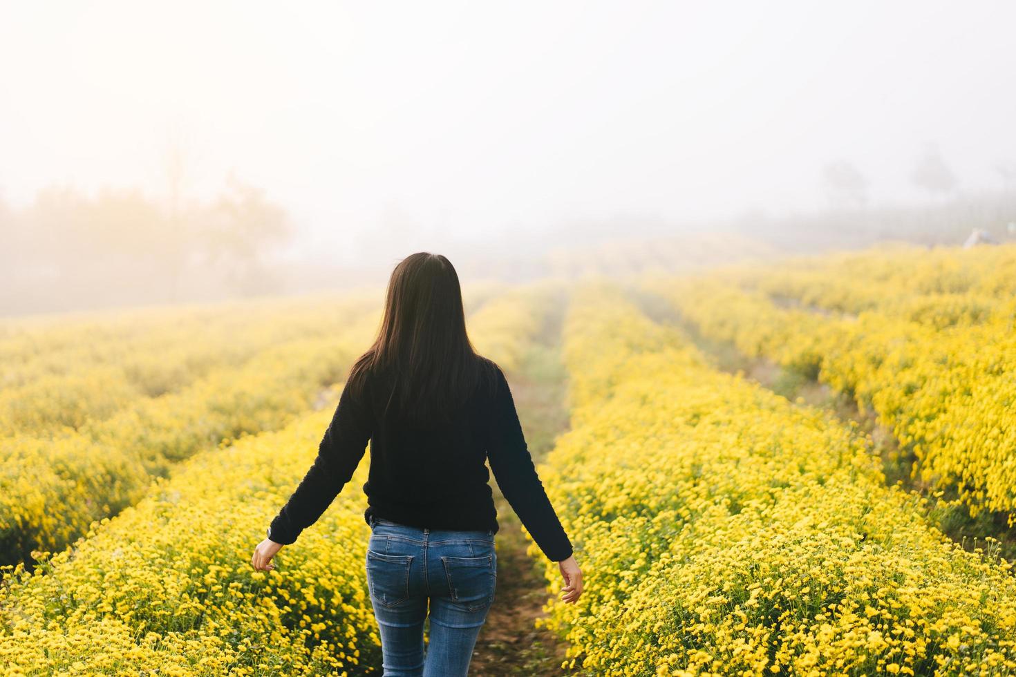 ontspannen solo reizen Aziatische volwassen vrouw wandelen in gele bloem veld. foto