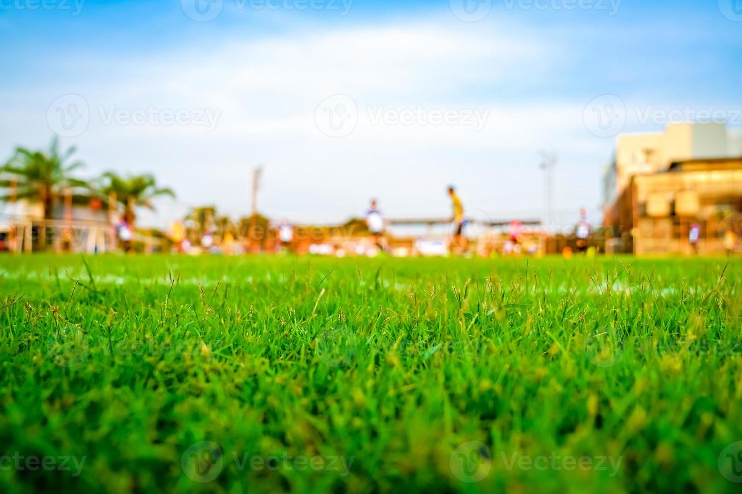 gras op het voetbalveld foto