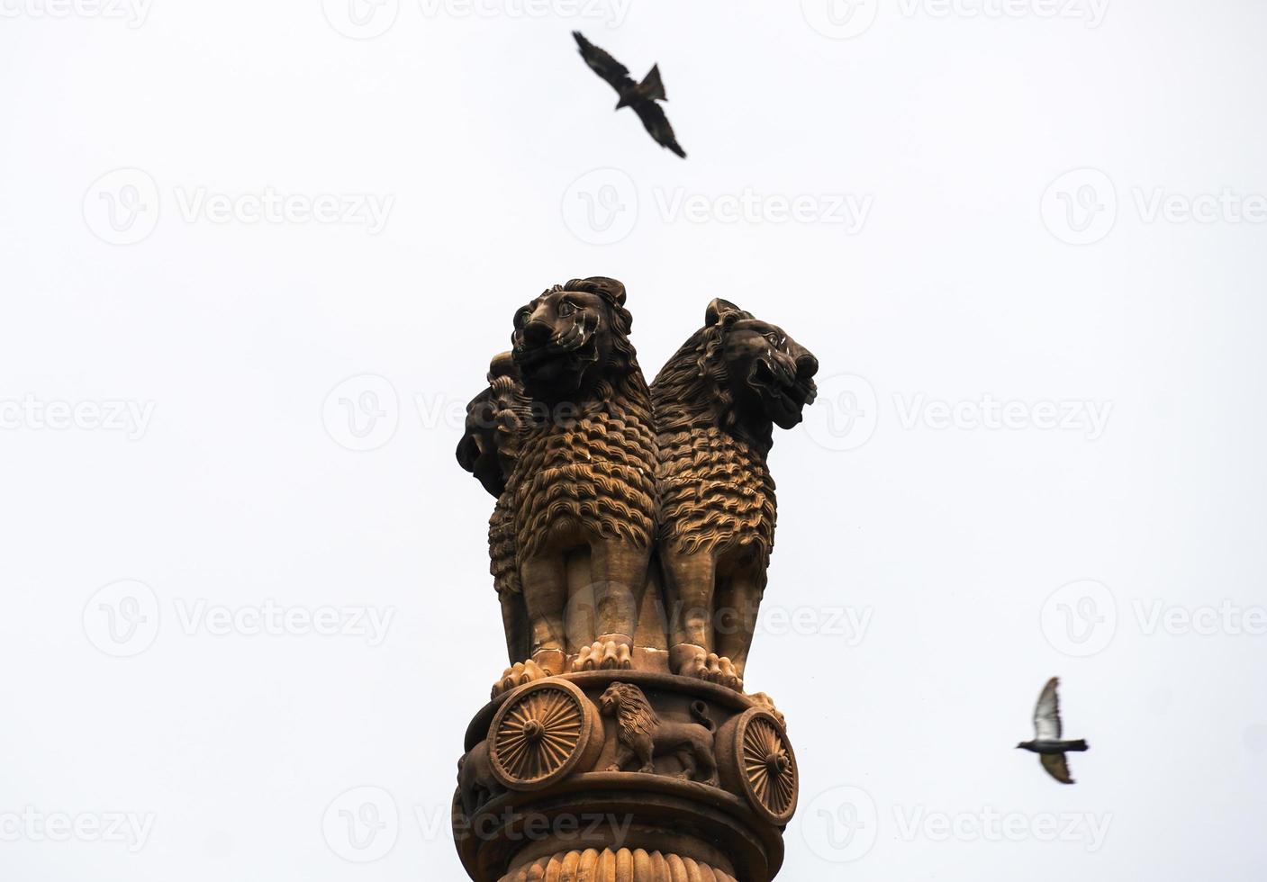 ashoka pilaar afbeelding in de lucht met vogels vliegen foto