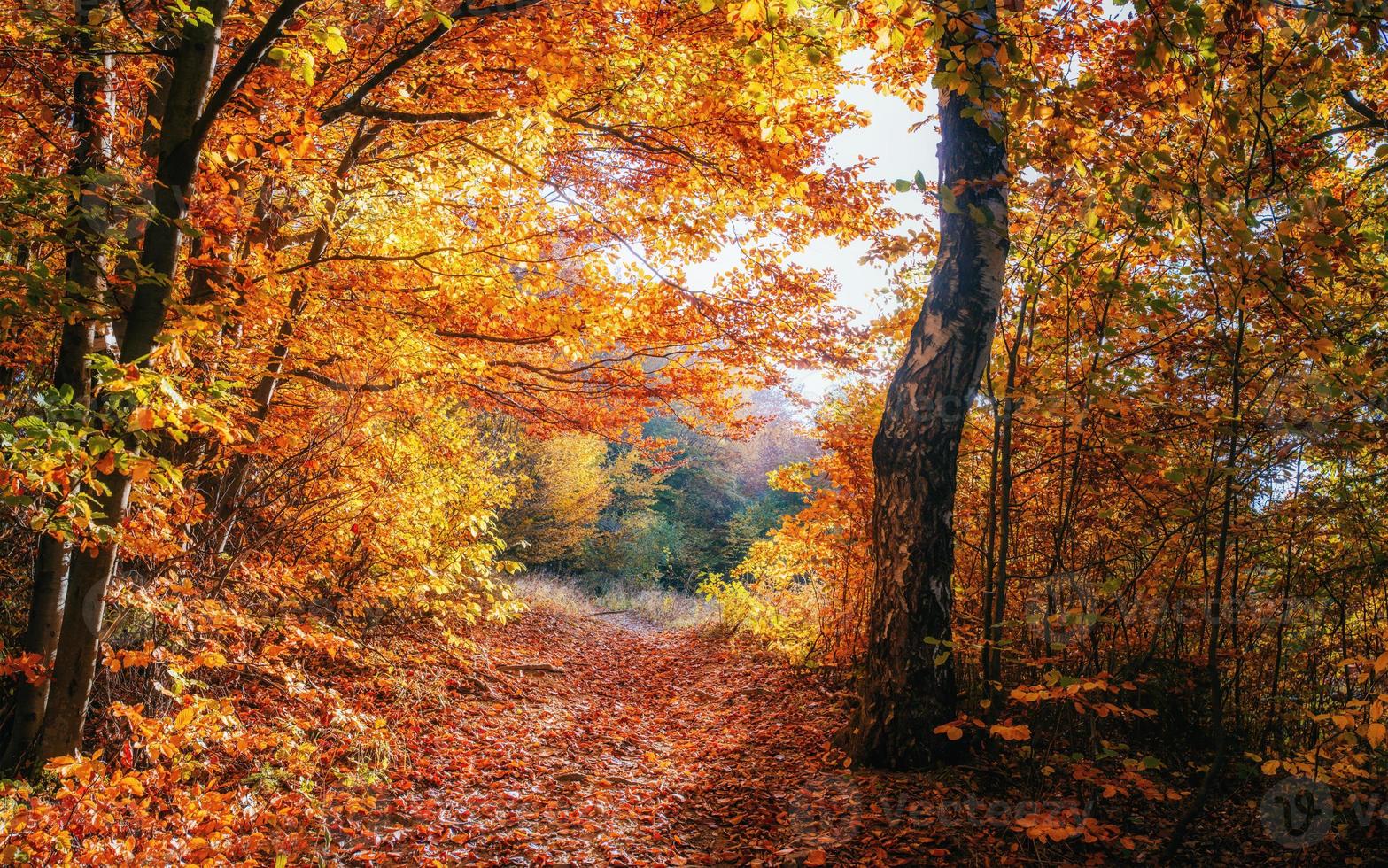 schilderachtig herfstlandschap foto