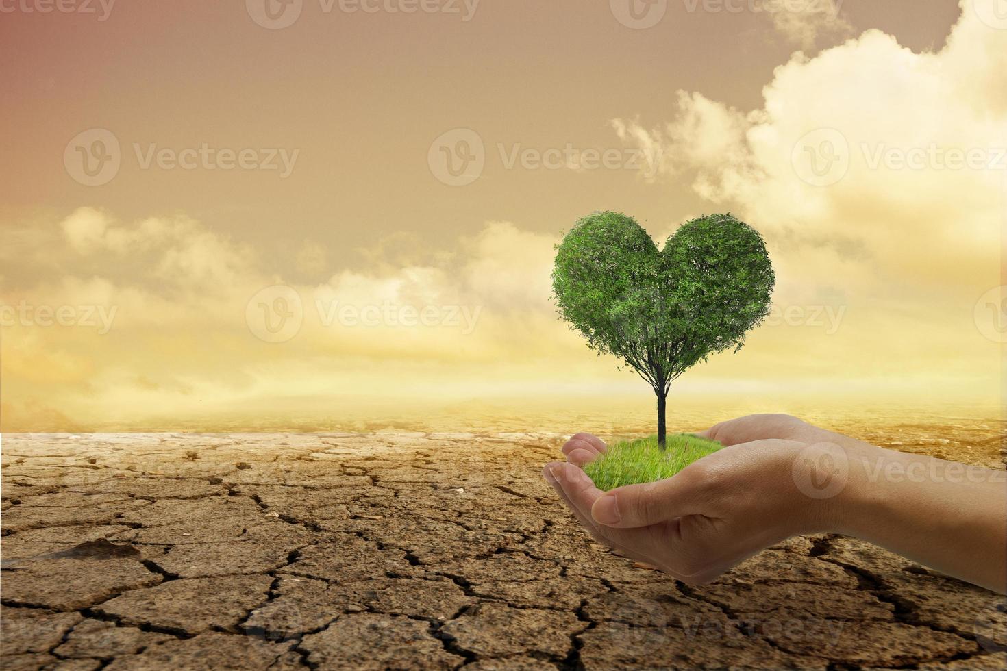 milieuproblemen, de natuur beschermen en de wereld redden. een kleine groene hartboom in de hand, klaar om te planten, met een achtergrond die dorre en gebarsten grond is. foto