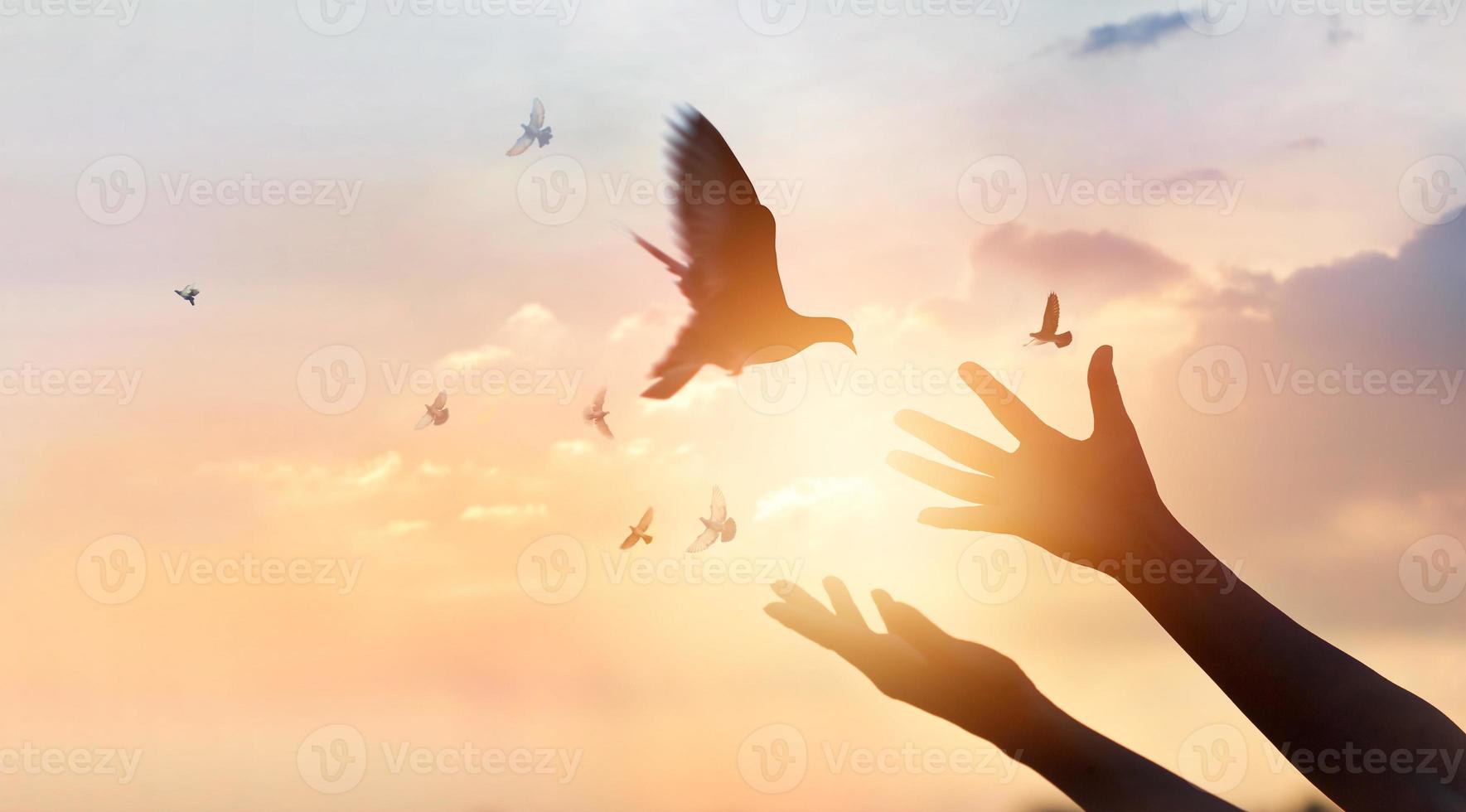 vrouw bidden en vrije vogel genieten van de natuur op zonsondergang achtergrond, hoop concept foto
