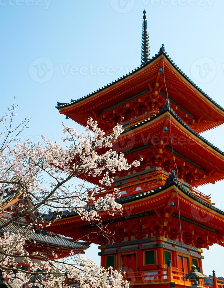 kersenbloesemsakura en de traditionele japanse pagode met drie verdiepingen tijdens het lenteseizoen met een heldere hemel in kyoto, japan foto