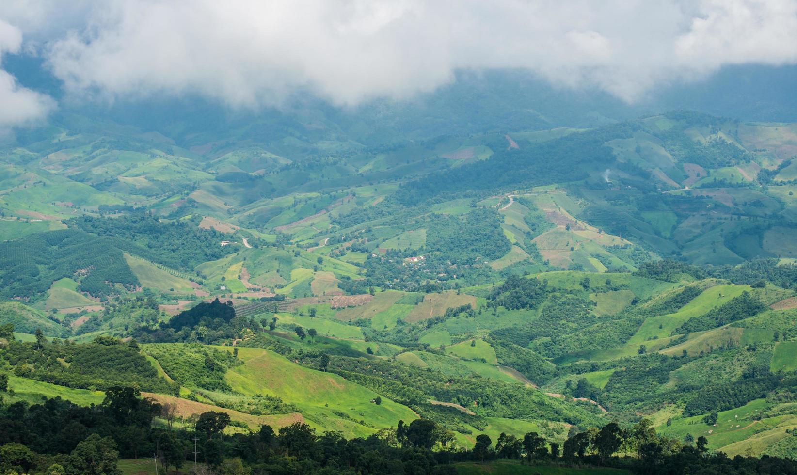 het groene uitzicht op de bergen van het hoogland op het platteland van de provincie chiang rai in thailand. foto