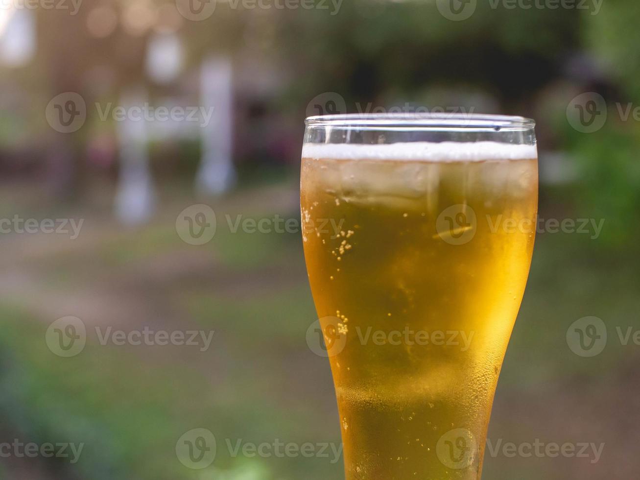 ijsbier en natuur foto