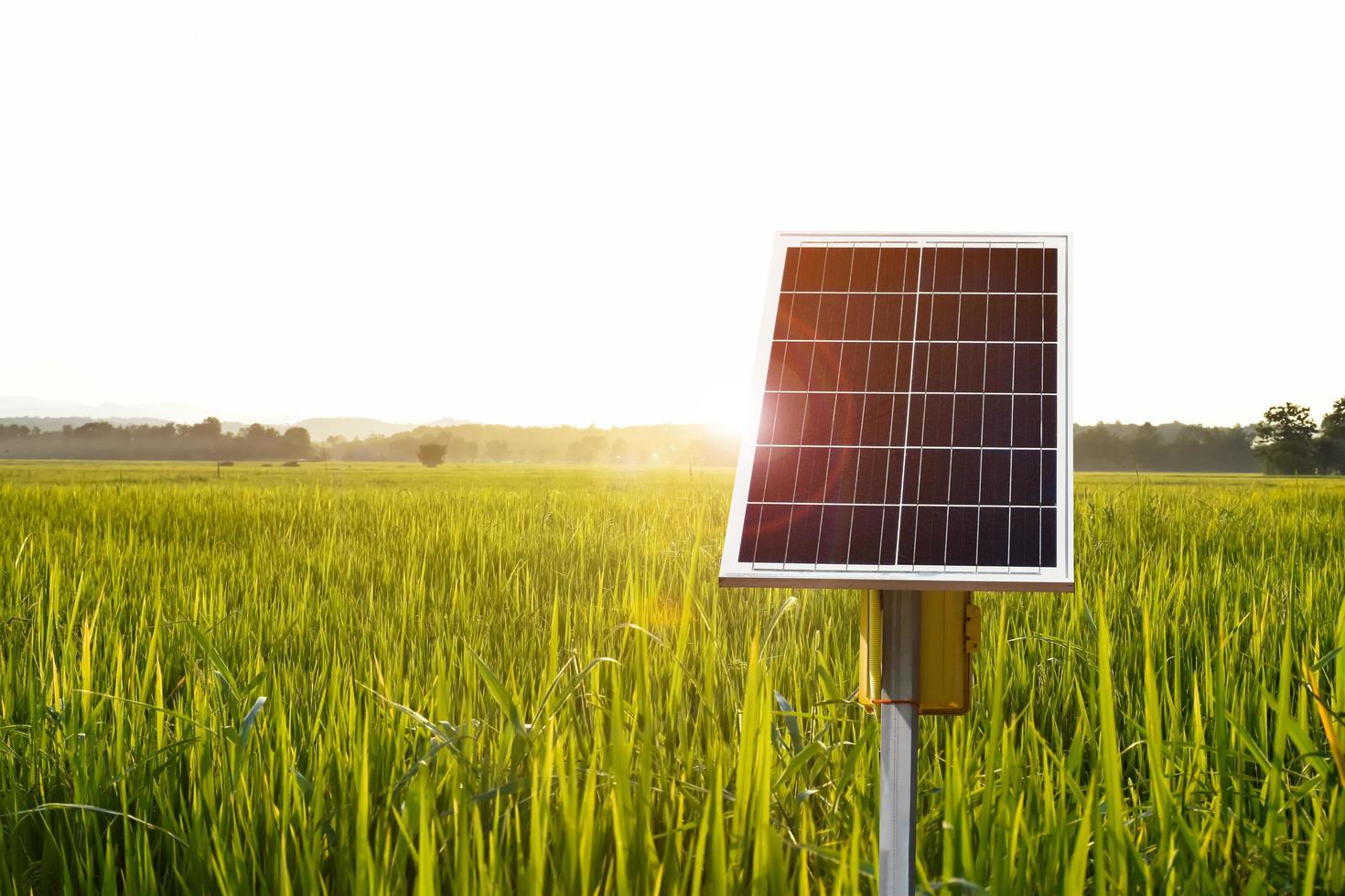 fotovoltaïsch paneel, nieuwe technologie voor het opslaan en gebruiken van de kracht van de natuur met menselijk leven, duurzame energie en milieuvriendelijk concept. foto