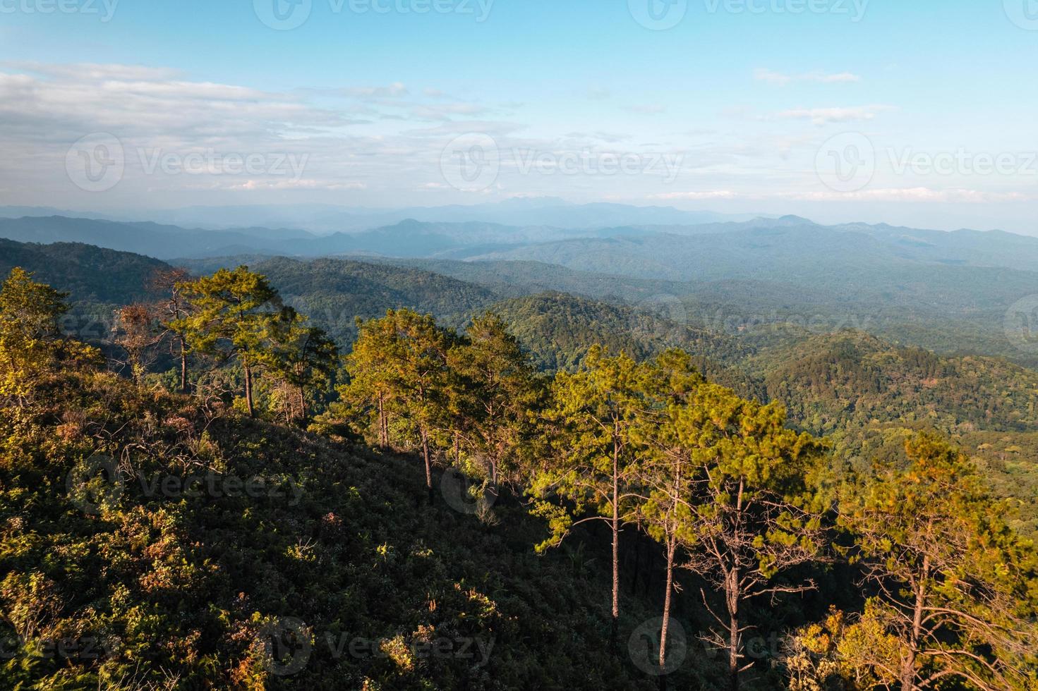 hoge hoekmening van bos en bergen in de zomer foto
