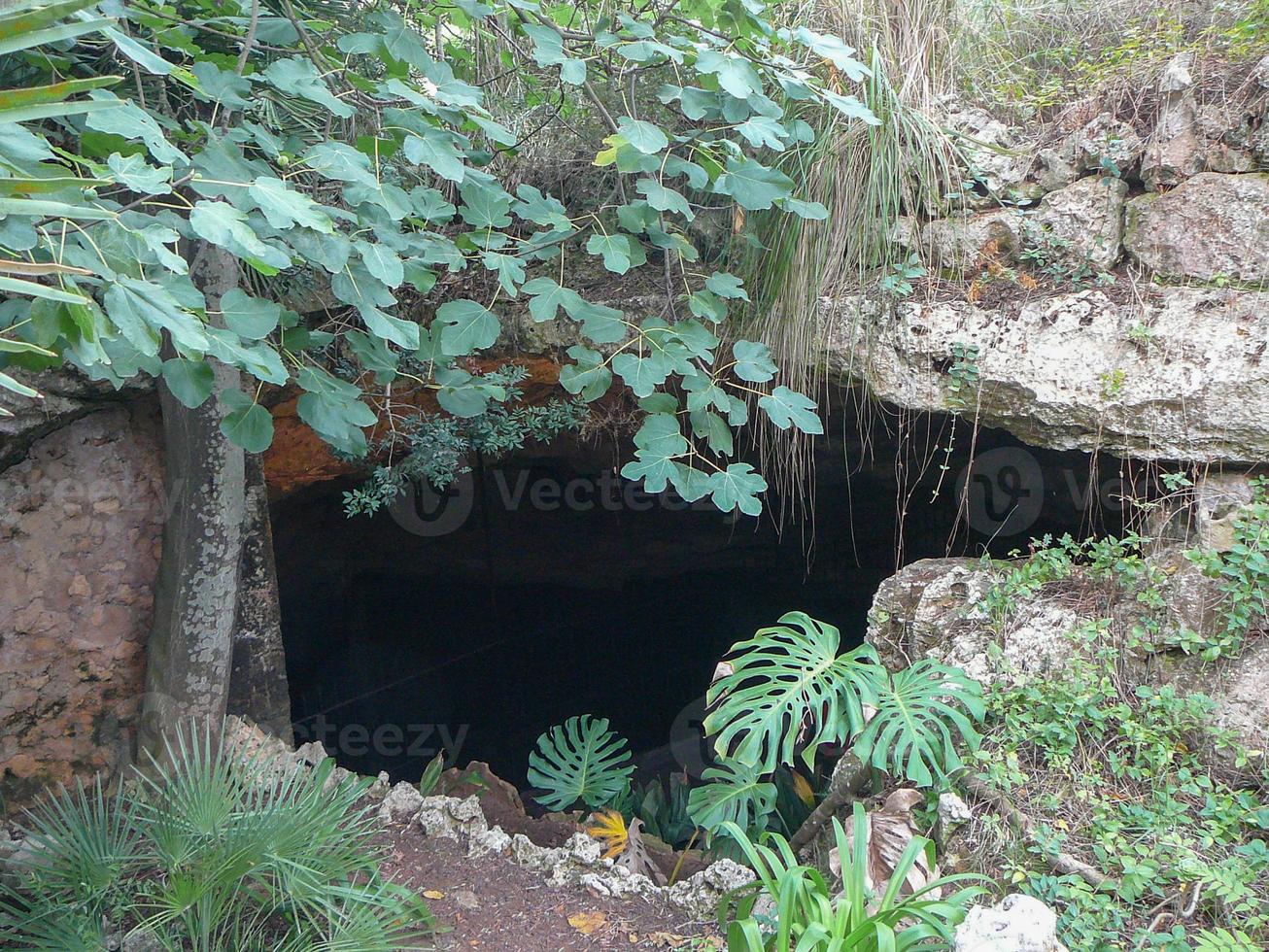 Cuevas del Drach-grotten in Mallorca foto