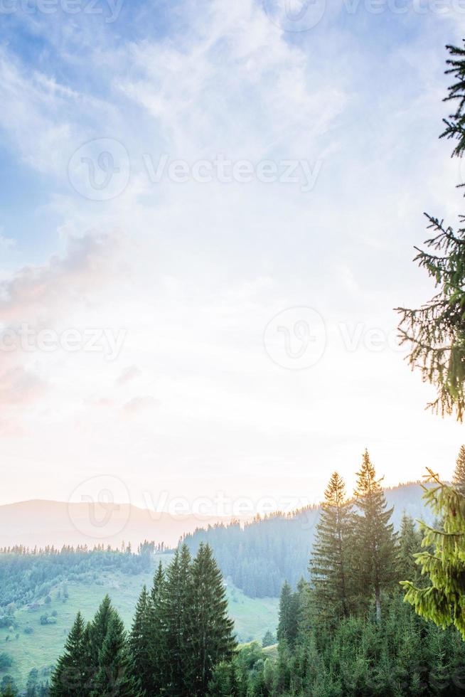 zomer landschap in bergen foto