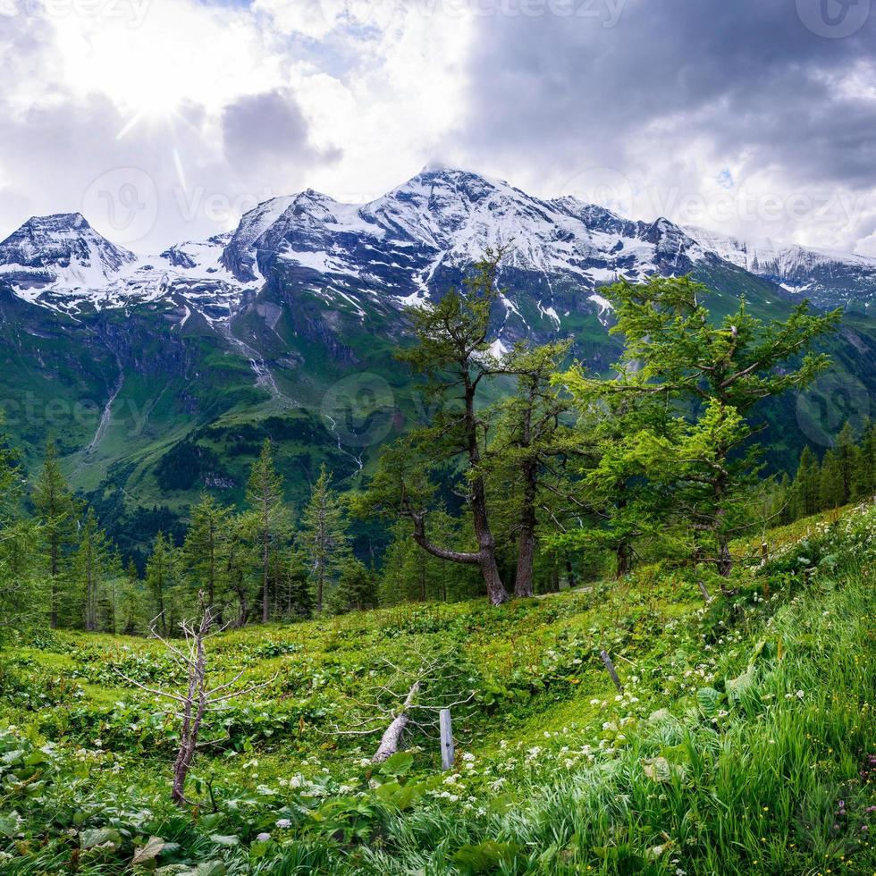 prachtig uitzicht op de Alpen foto