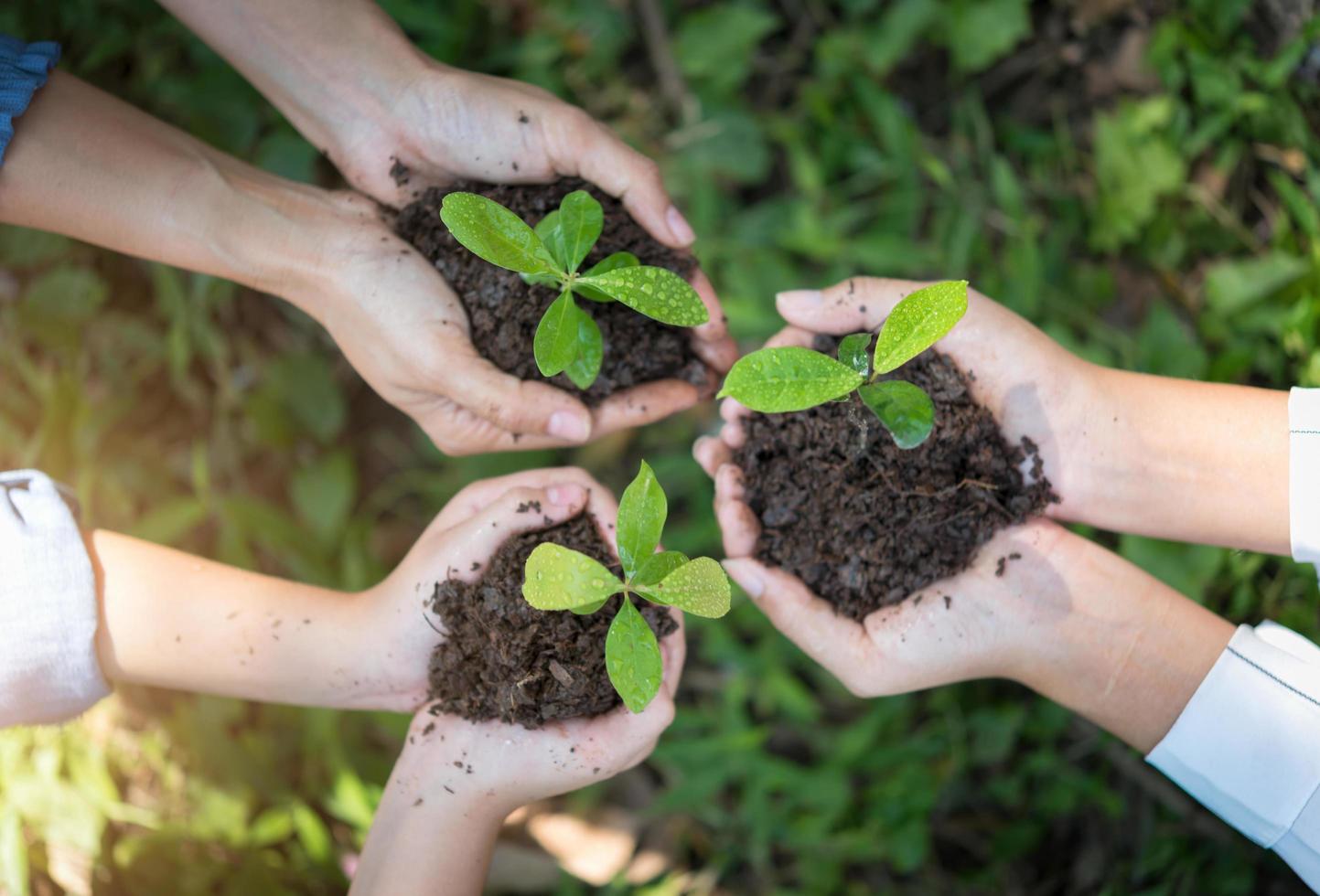 mensen hand groep planten een zaadje in de bodem landbouw op natuurlijk groen foto