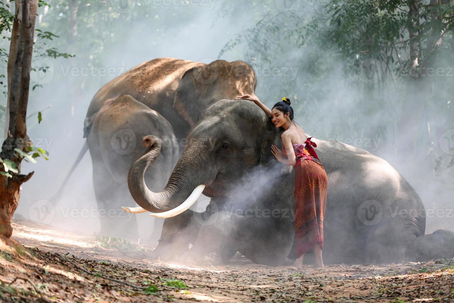 thailand platteland silhouet olifant op de achtergrond van de zonsondergang, olifant thai in surin thailand. foto