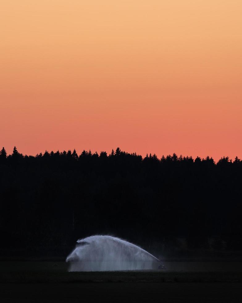 sproeien van water op een veld op de zomernacht foto