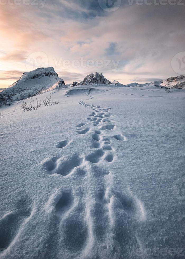 voetafdruk van bergbeklimmer op sneeuwheuvel en besneeuwde bergketen in de ochtend op het eiland Senja foto