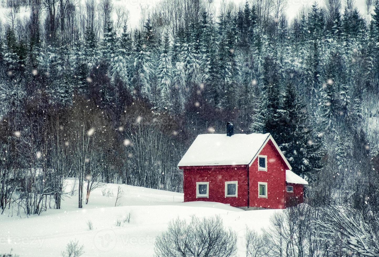 rood huis met sneeuw in dennenbos foto