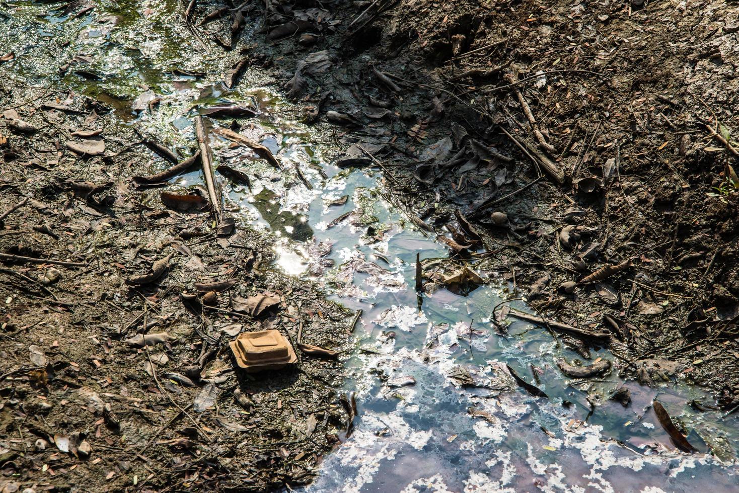 kanaal met lage waterstand door de droogte foto